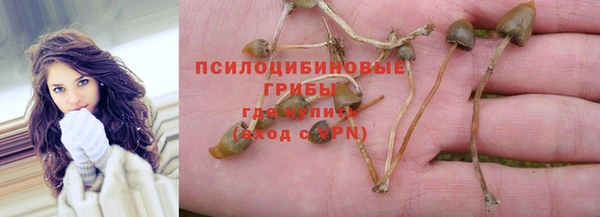 круглые Богородск