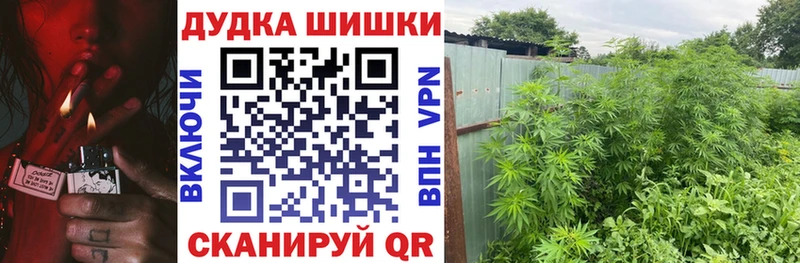 KRAKEN   Дивногорск  Канабис ГИДРОПОН 